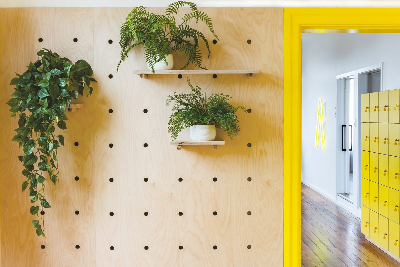 A wood wall and bright yellow door trims create a welcoming space at Upstate Studios. Small pot plants and natural light create a grounding fresh fitness studios space.