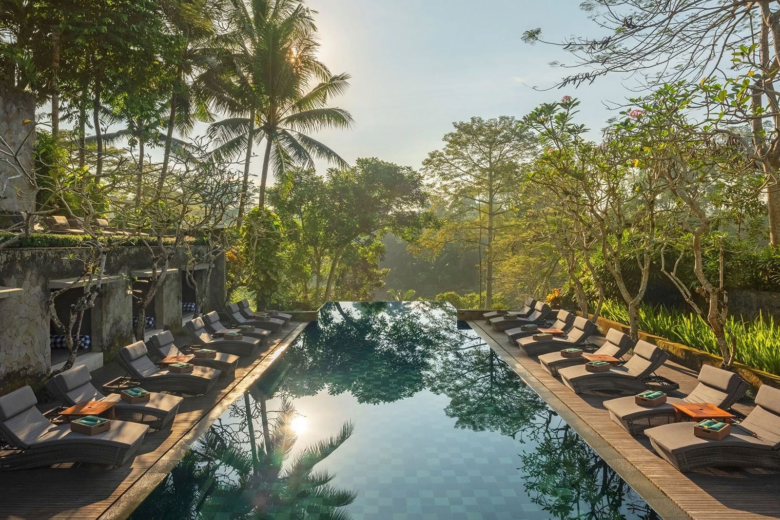 poolside view in green forest in Sri Lanka